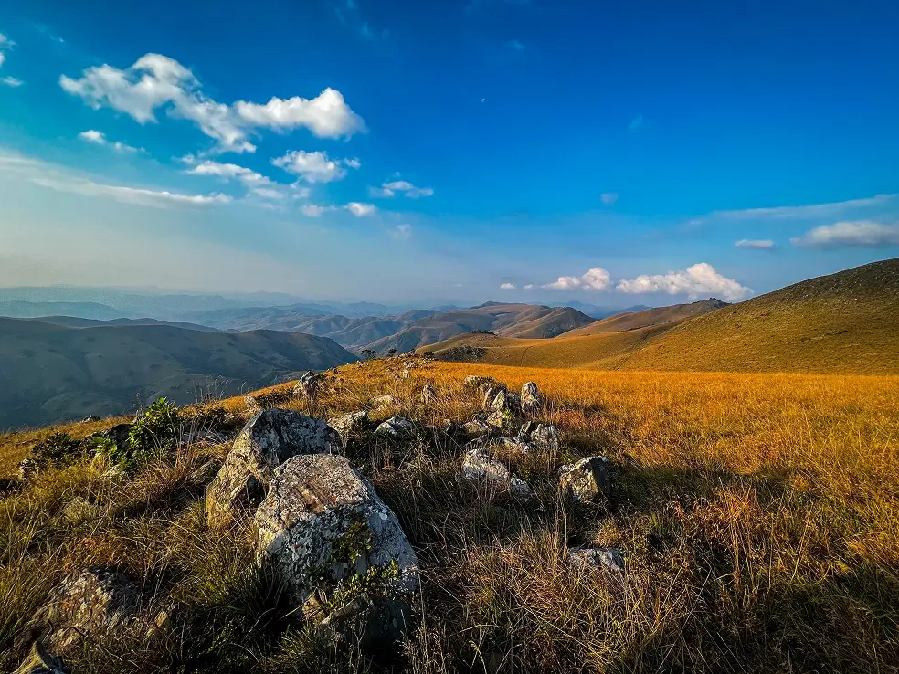 AboutConservation Heritage Fund