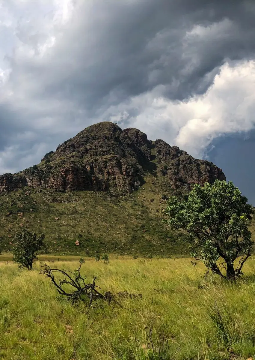 CHF Soutpansberg